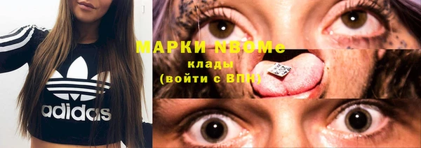 хмурый Арсеньев