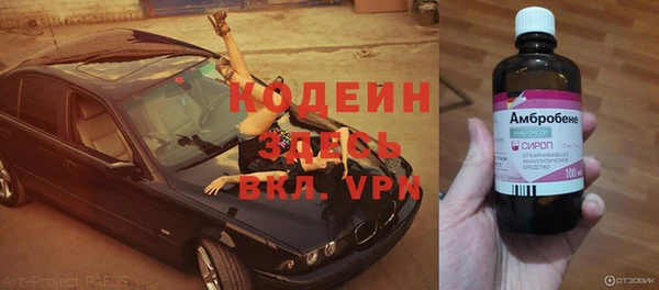 ешки Аркадак