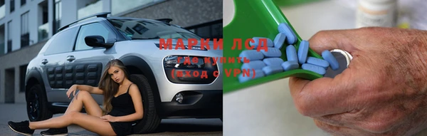 ешки Аркадак