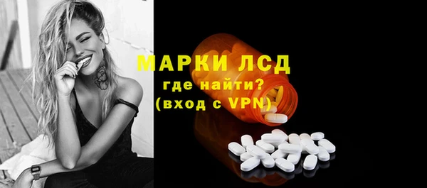 хмурый Арсеньев