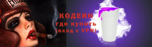 хмурый Арсеньев