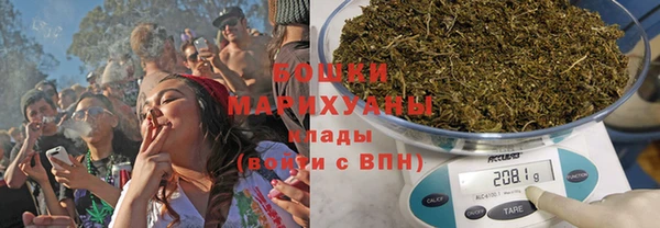 хмурый Арсеньев