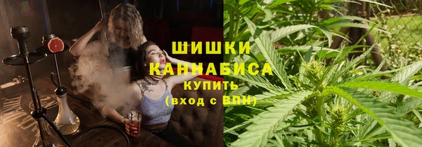 ешки Аркадак
