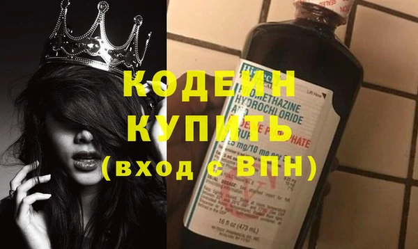 хмурый Арсеньев