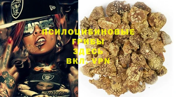 ешки Аркадак