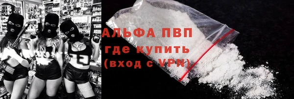 хмурый Арсеньев